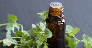 The Medicinal Benefits of Oregano Oil: Nature’s Potent Healer